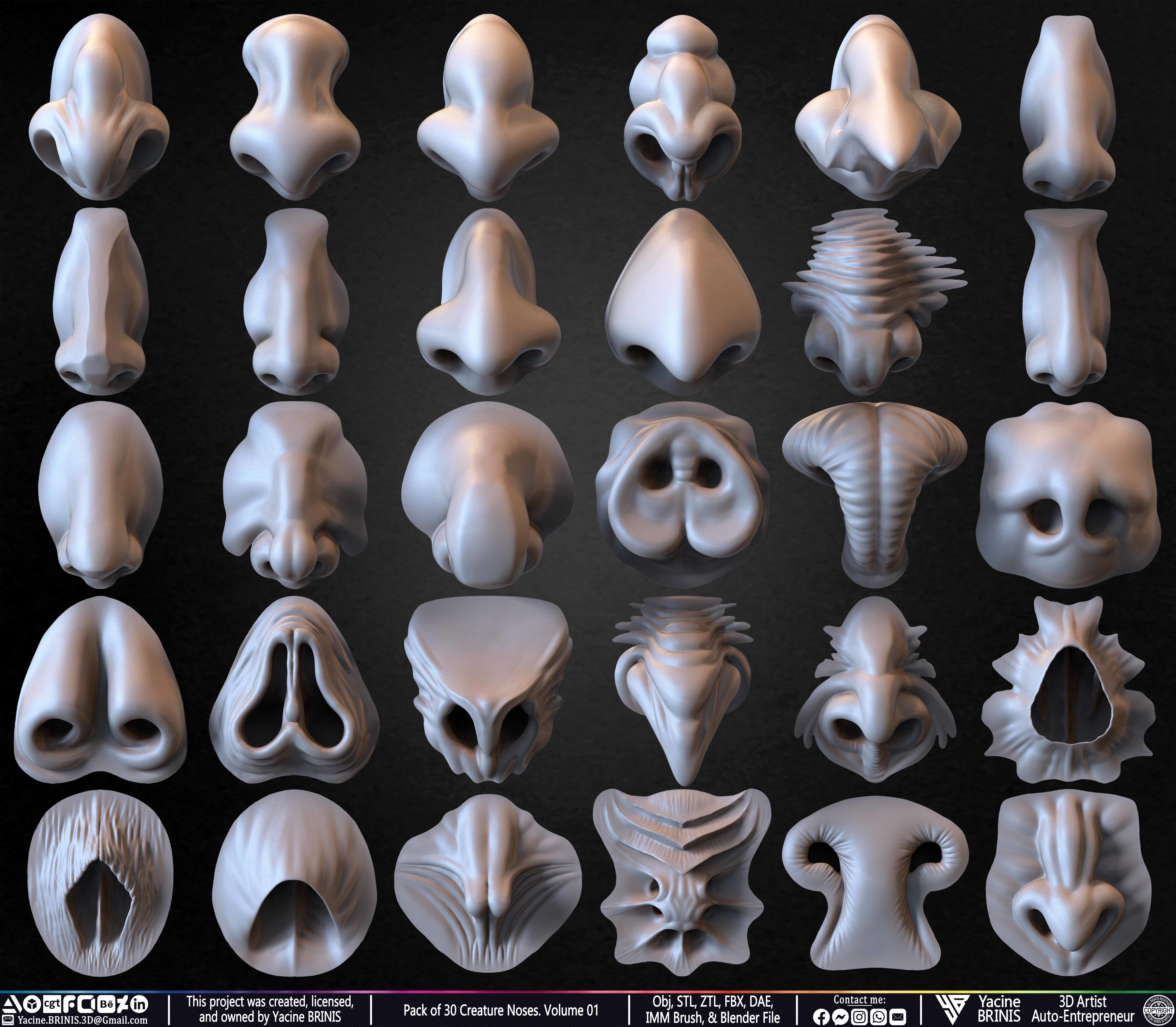 Pack of 30 Creature Noses VDM Brushes Volume 01 Low-poly 3D model_9