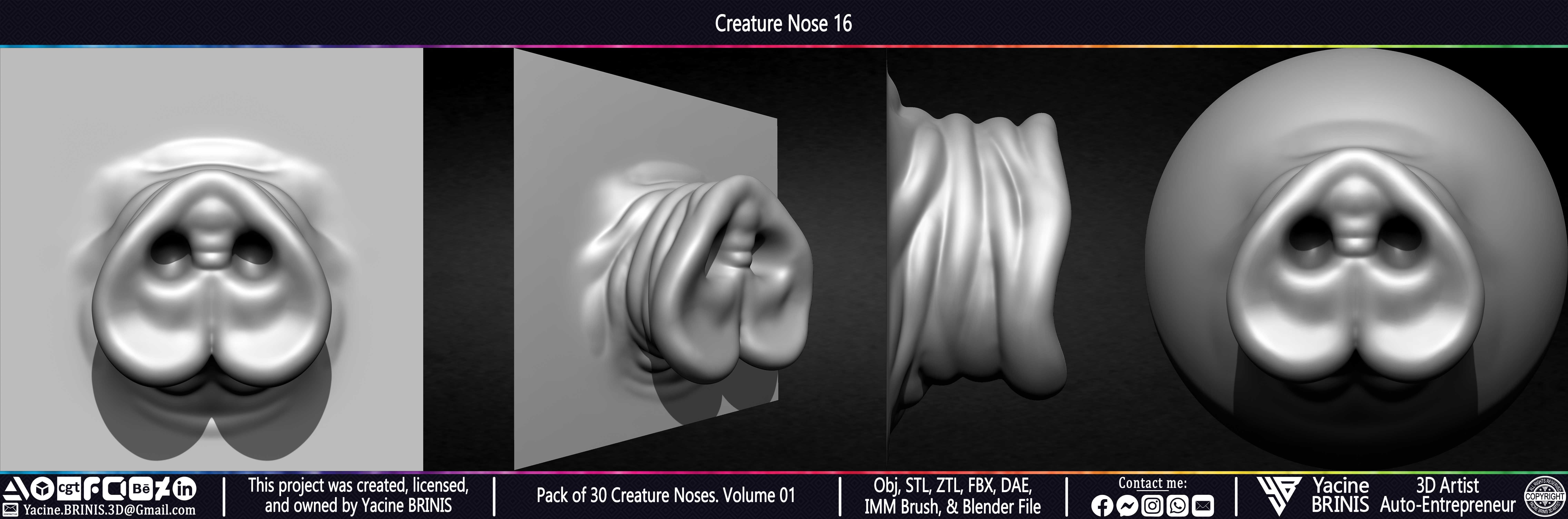 Pack of 30 Creature Noses VDM Brushes Volume 01 Low-poly 3D model_25