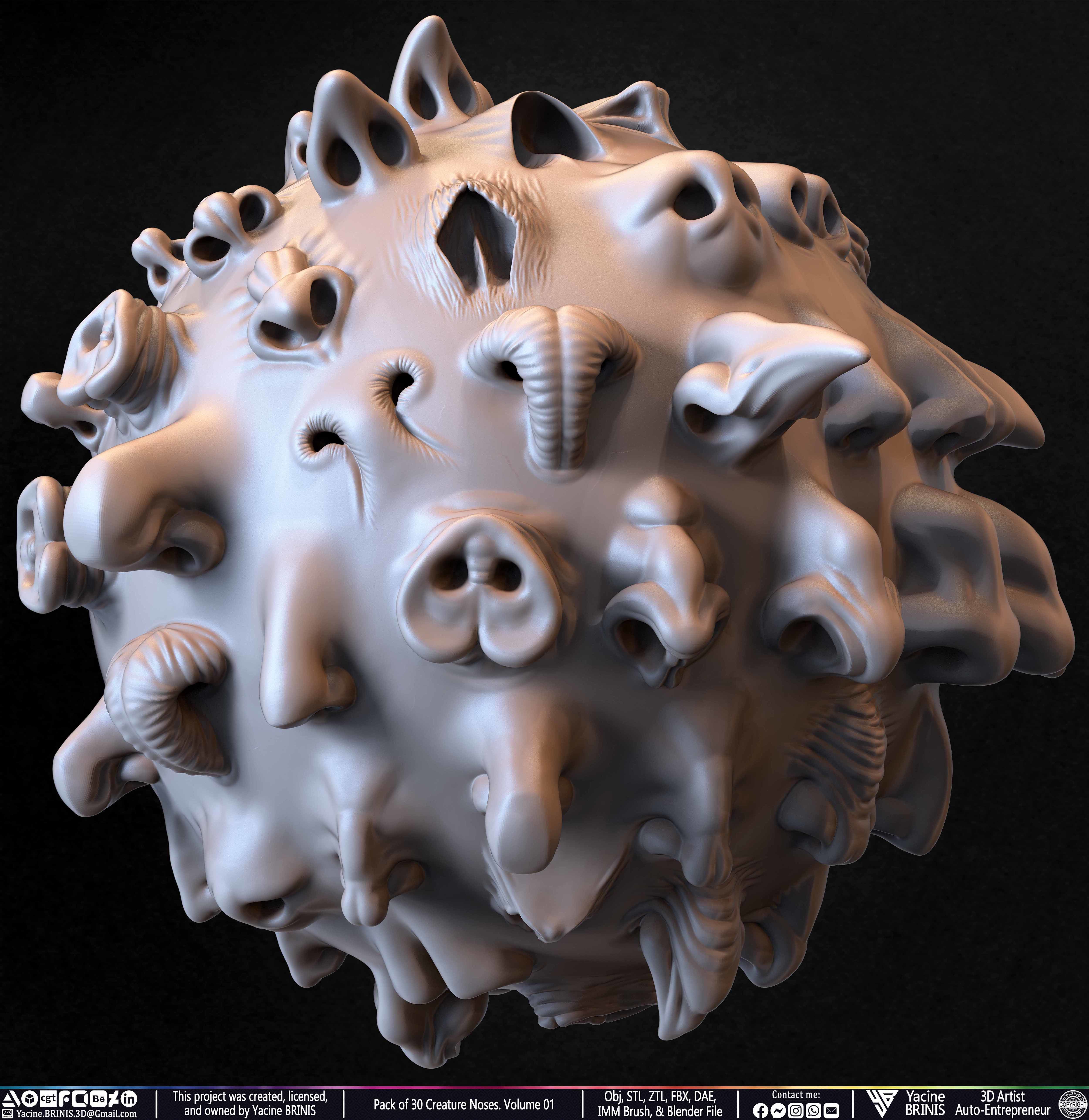 Pack of 30 Creature Noses VDM Brushes Volume 01 Low-poly 3D model_7