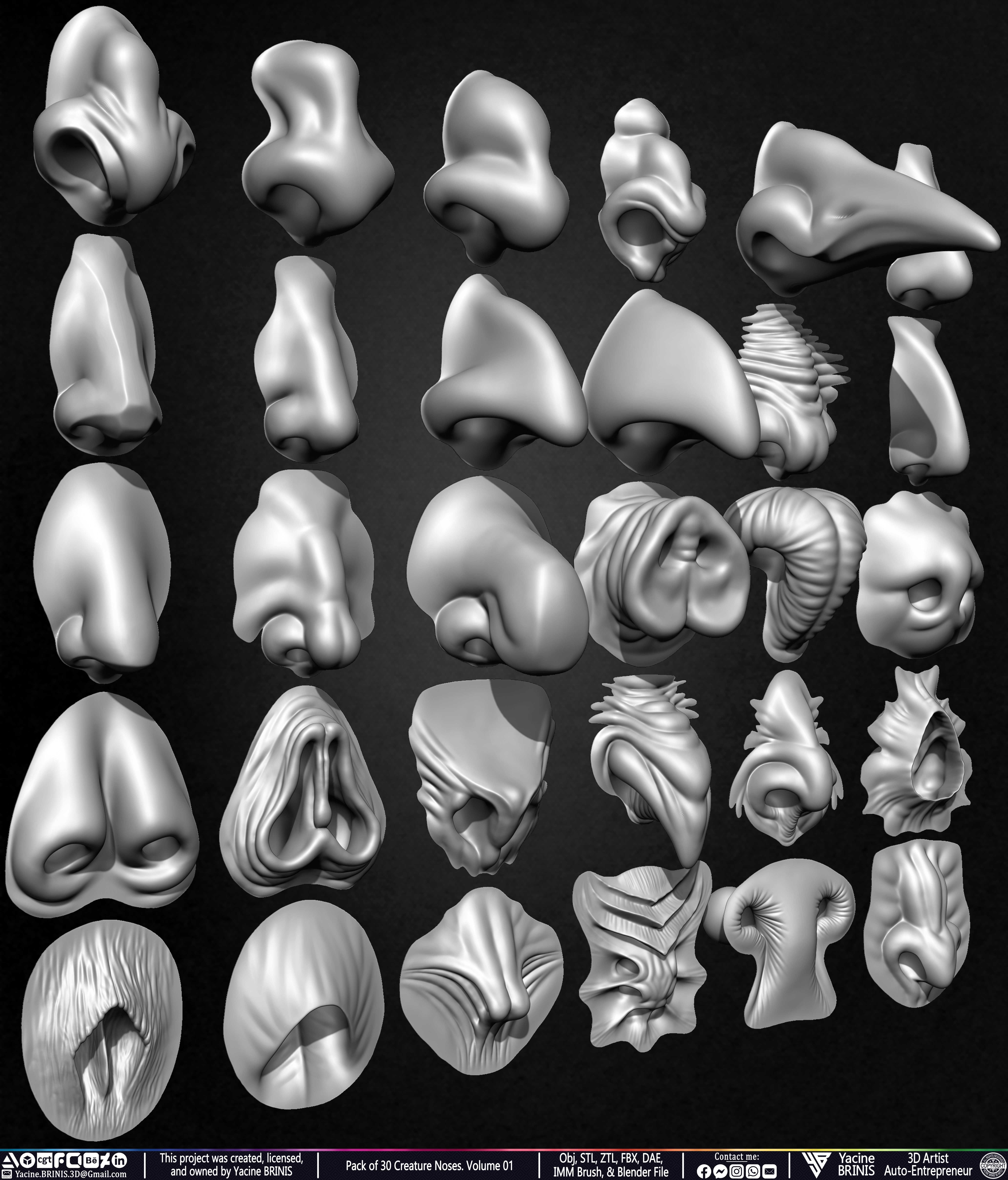 Pack of 30 Creature Noses VDM Brushes Volume 01 Low-poly 3D model_4