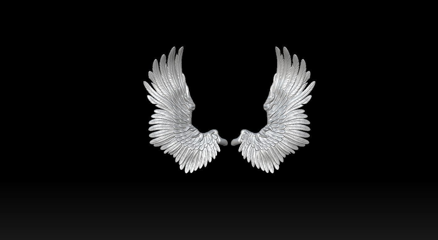 Wings Printable  3D print model 3D print model_12