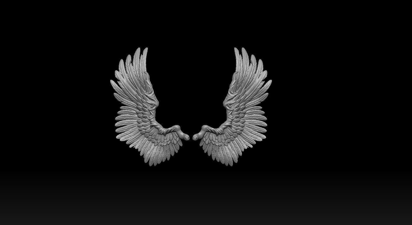 Wings Printable  3D print model 3D print model_10