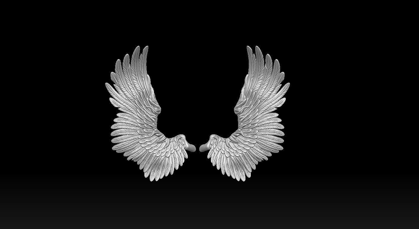 Wings Printable  3D print model 3D print model_6