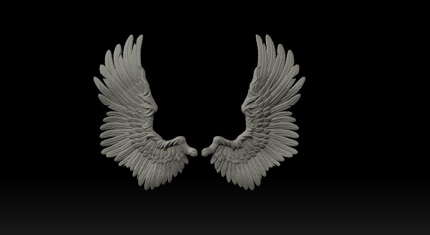 Wings Printable  3D print model 3D print model_9