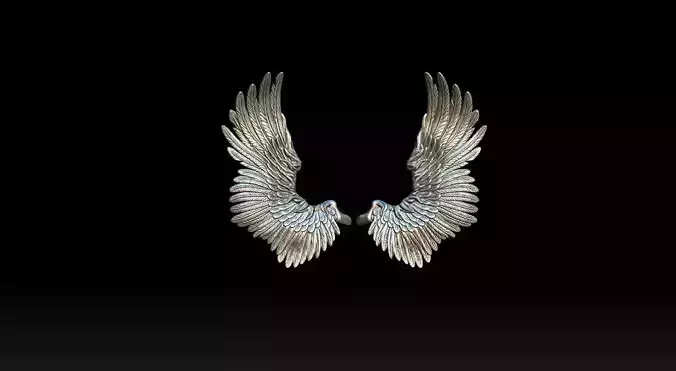 Wings Printable  3D print model 3D print model