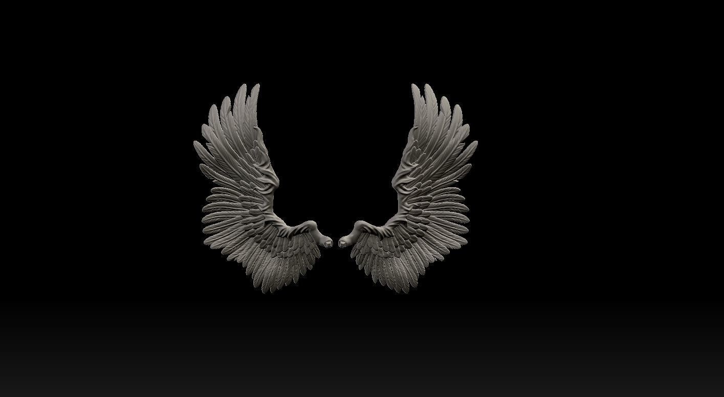 Wings Printable  3D print model 3D print model_11