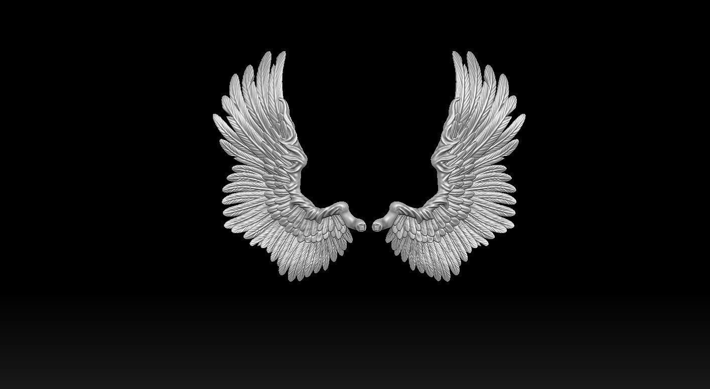 Wings Printable  3D print model 3D print model_2