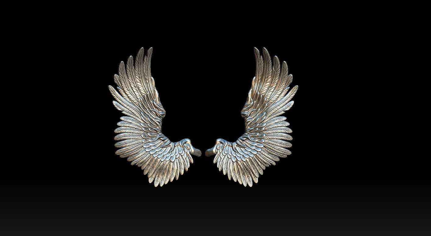 Wings Printable  3D print model 3D print model_7