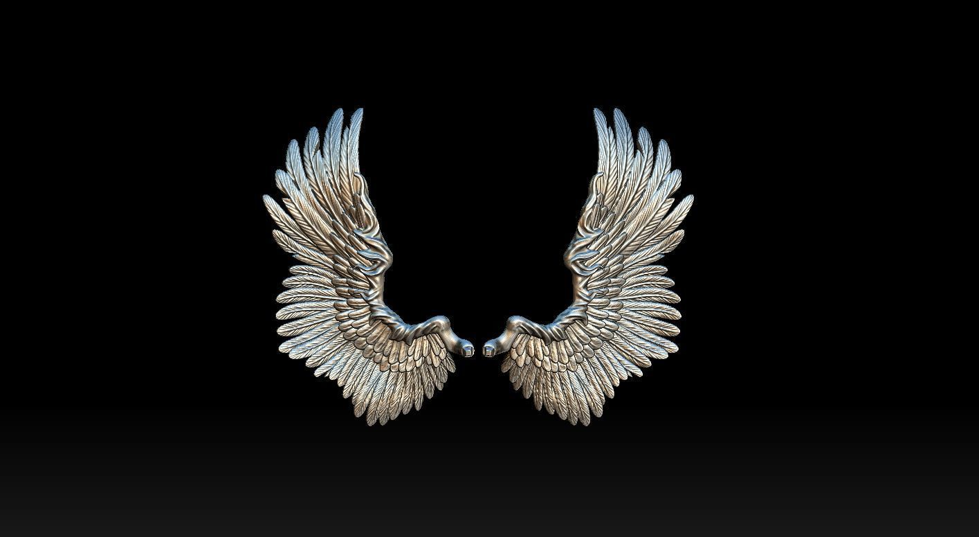 Wings Printable  3D print model 3D print model_8