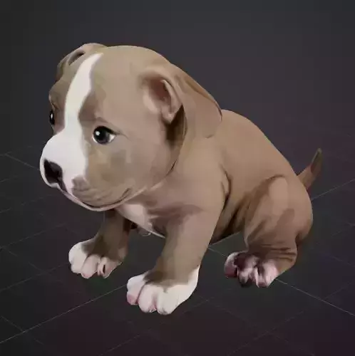 Cute Pitbull Puppy Low-poly 3D model