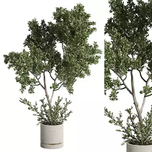 Tree plant in a concrete dirty vase - indoor plant set 546 3D model