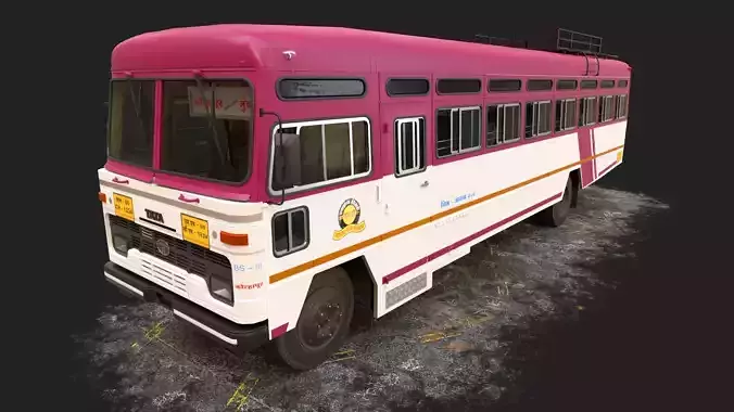 INDIAN HIRKANI ST BUS V2 Purple and White
