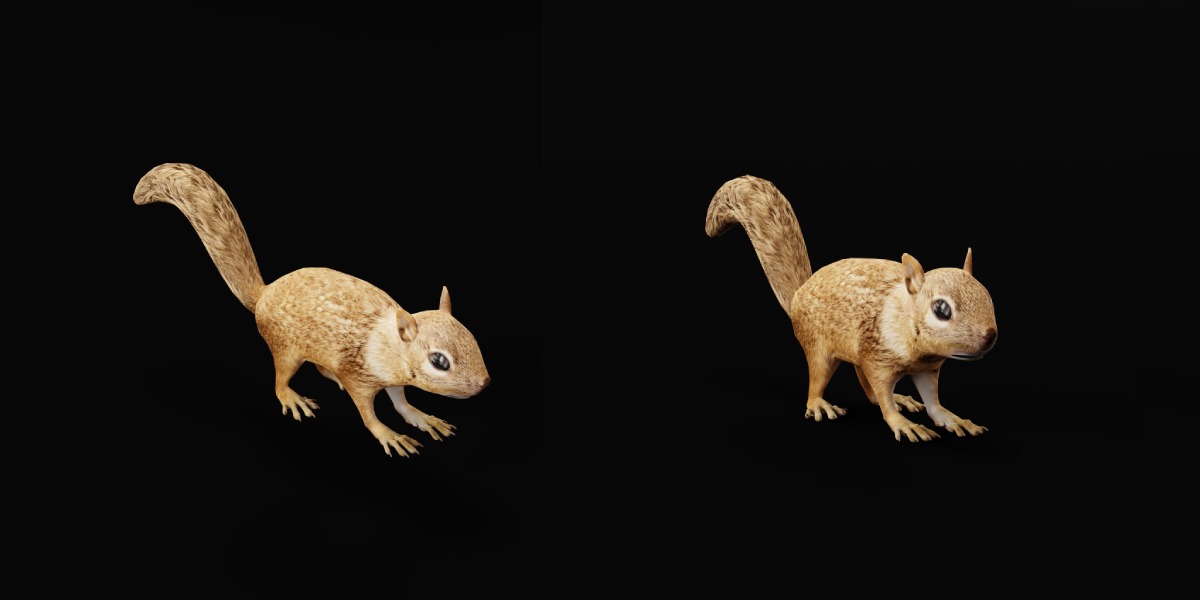 Juvenile California Ground Squirrel Low-poly 3D model_3
