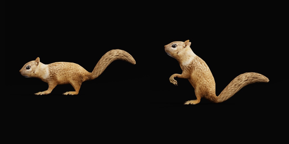 Juvenile California Ground Squirrel Low-poly 3D model_4