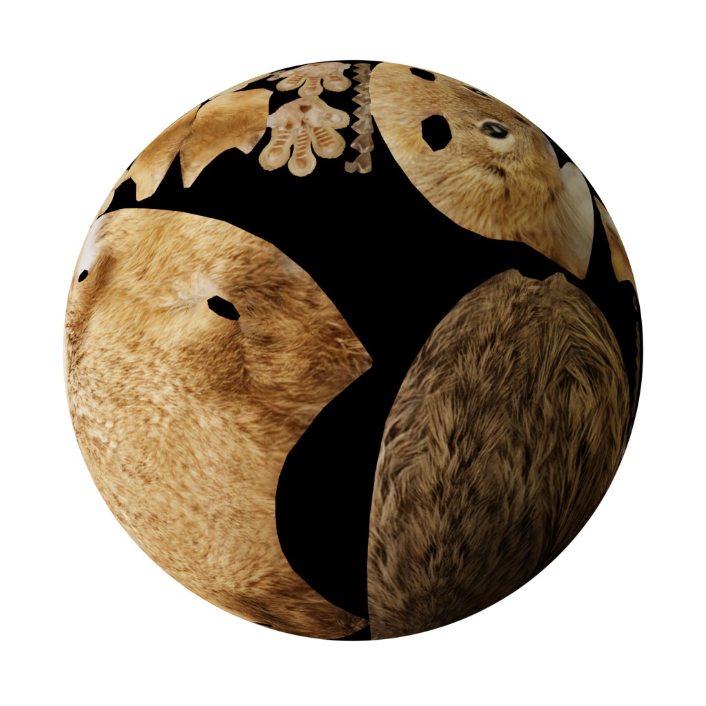 Juvenile California Ground Squirrel Low-poly 3D model_43