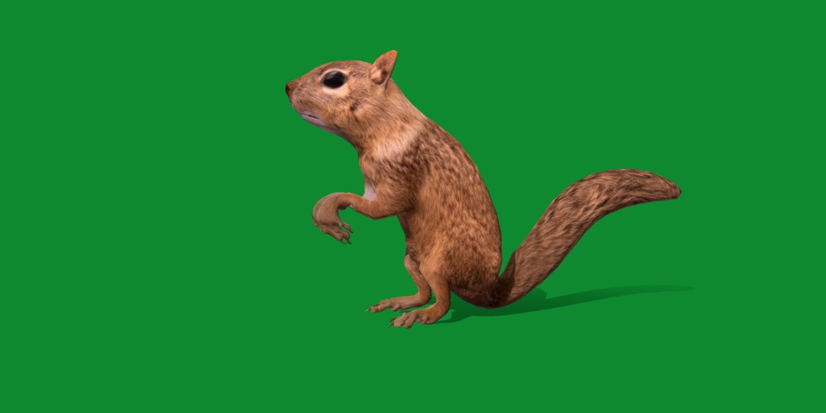 Juvenile California Ground Squirrel Low-poly 3D model_2