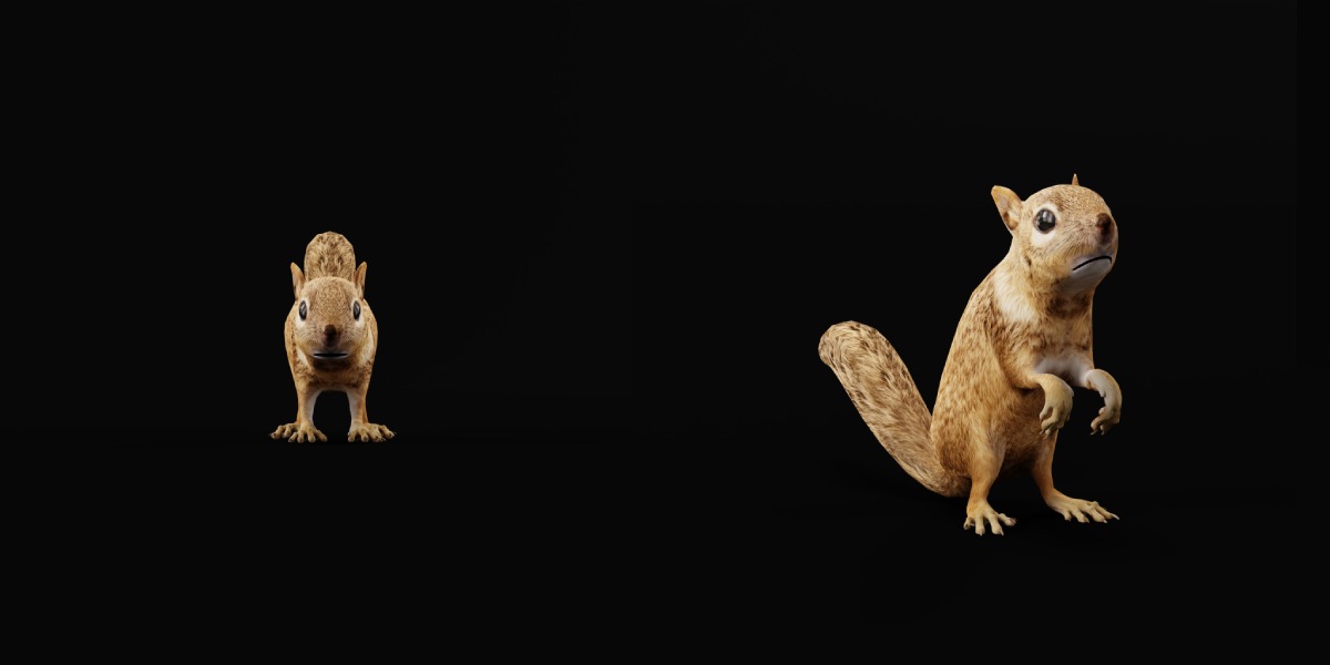Juvenile California Ground Squirrel Low-poly 3D model_5