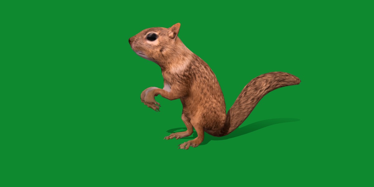 Juvenile California Ground Squirrel Low-poly 3D model_25