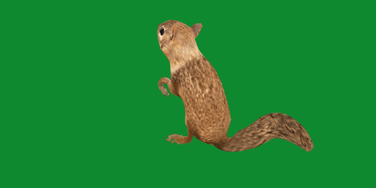 Juvenile California Ground Squirrel Low-poly 3D model_16