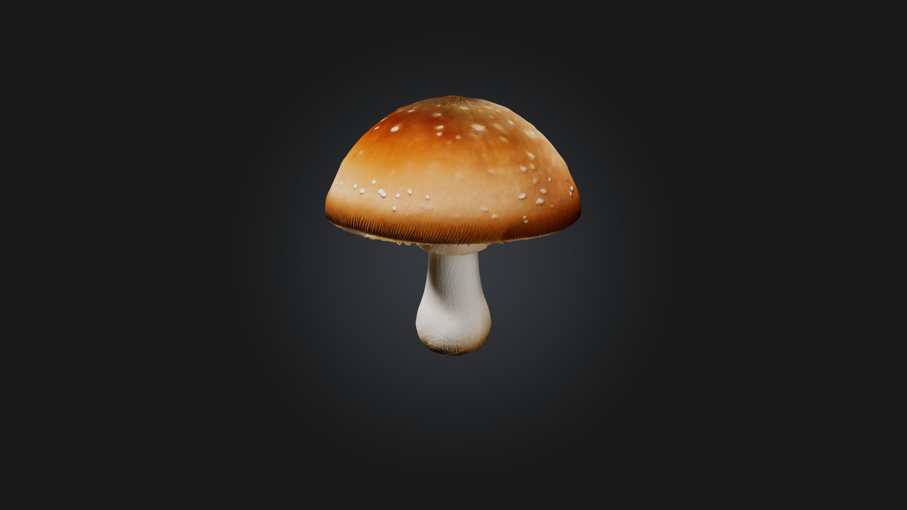 Mushroom 3D model_6