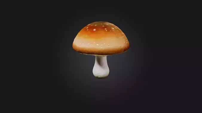 Mushroom
