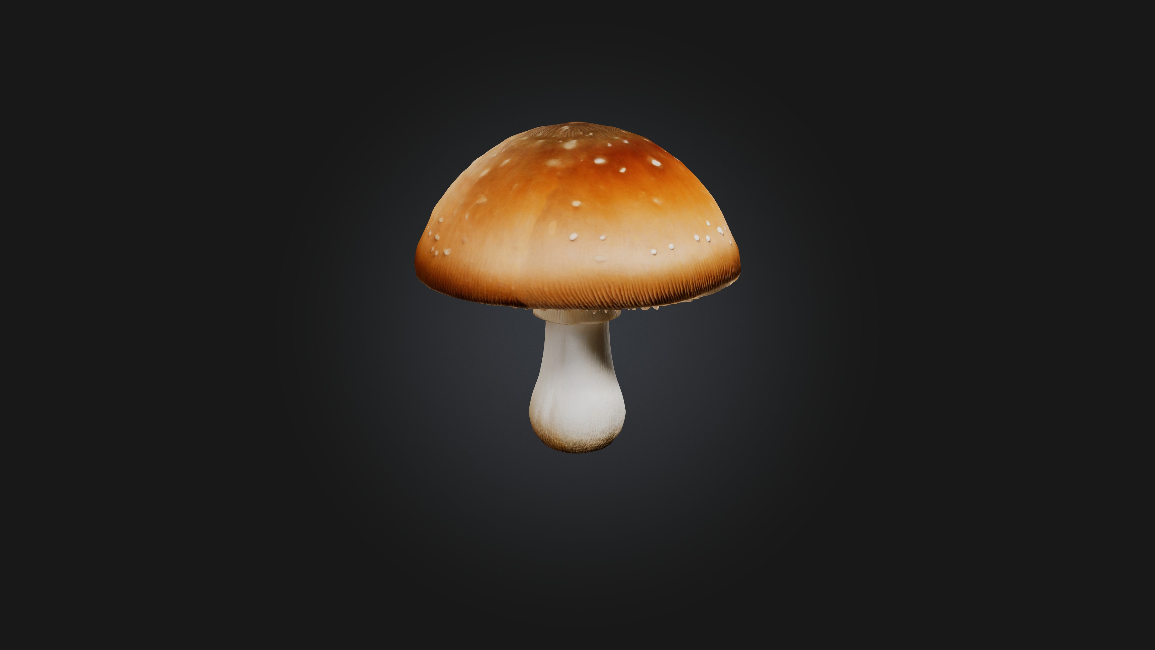 Mushroom 3D model_3