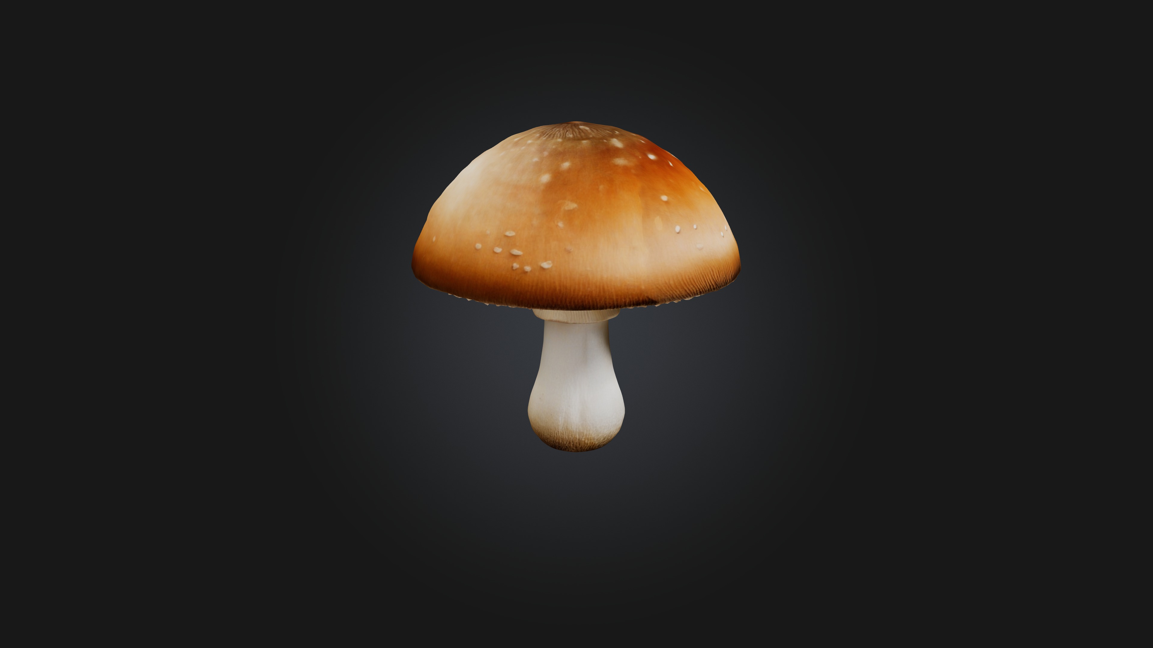 Mushroom 3D model_4