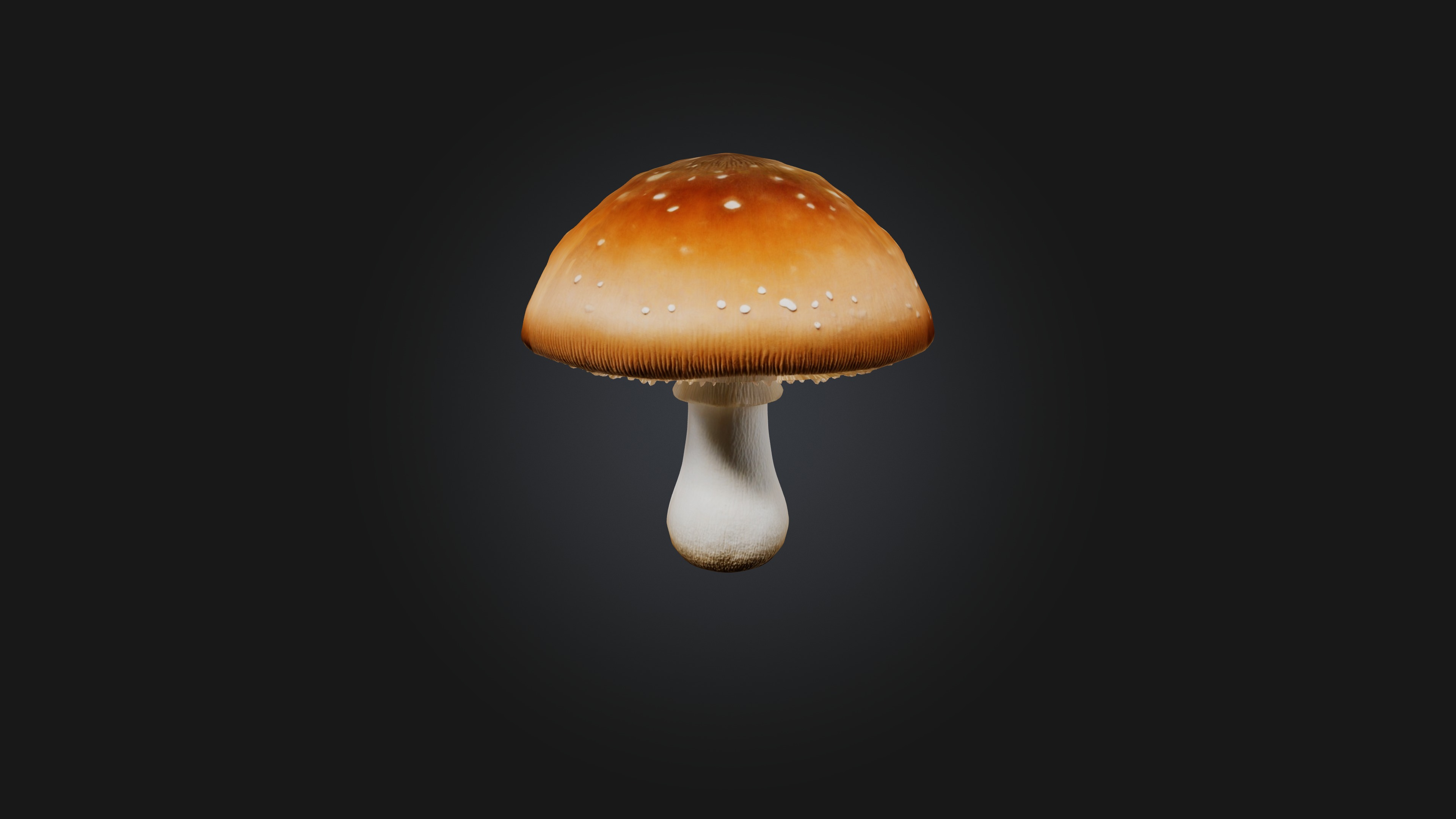 Mushroom 3D model_2