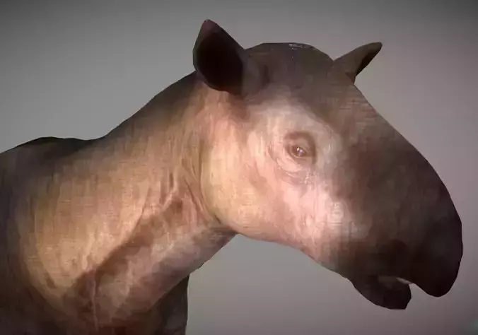 Paraceratherium Low-poly 3D model