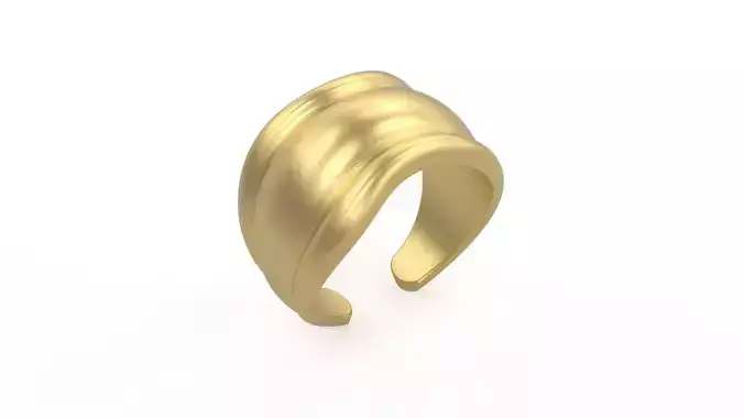 Model 1110  Tf Bone Ring 5-10 US Sizes 3D print model