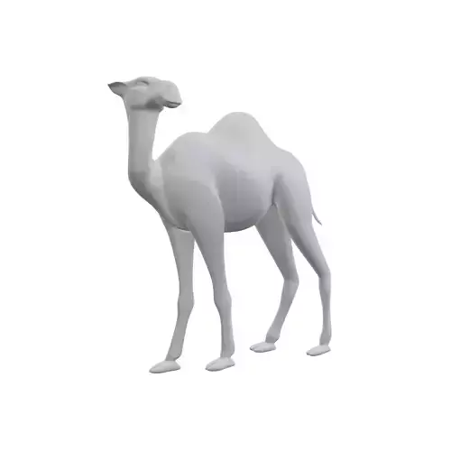 Dromedary 3D print model