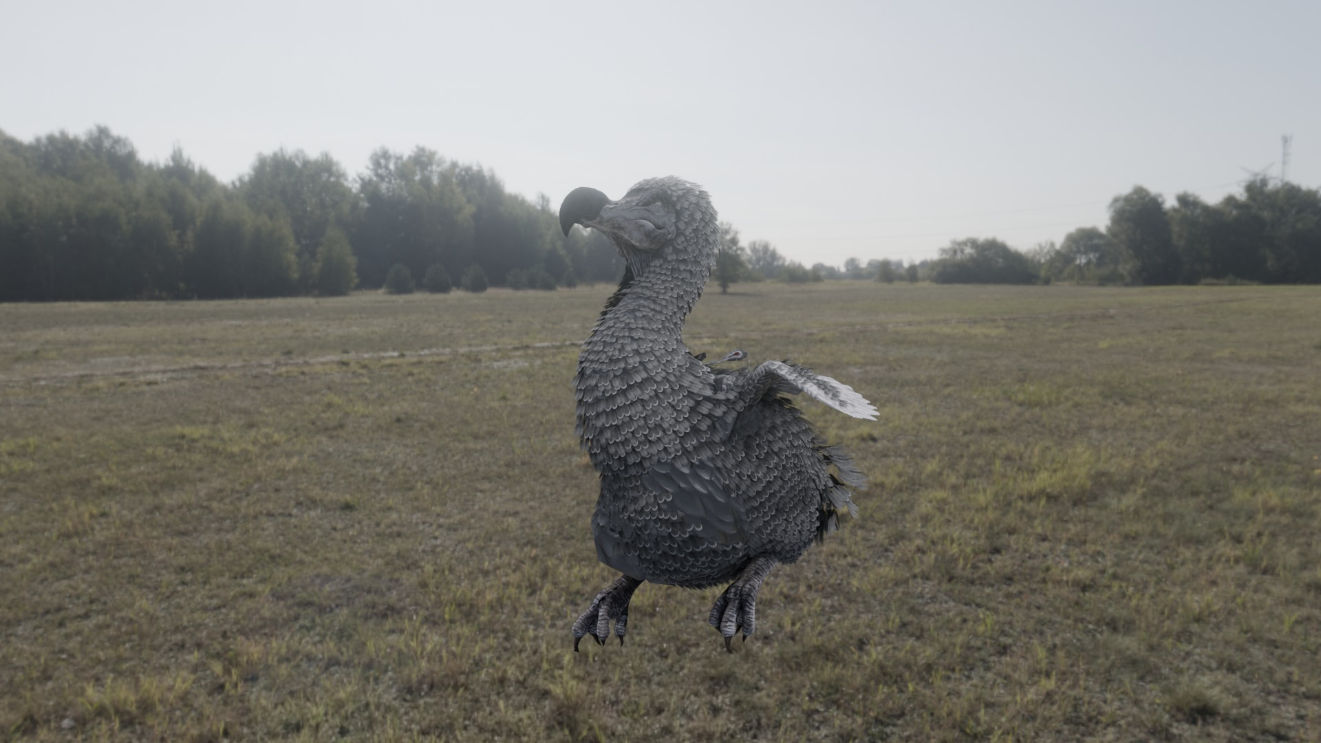 Dodo bird Free low-poly 3D model_3