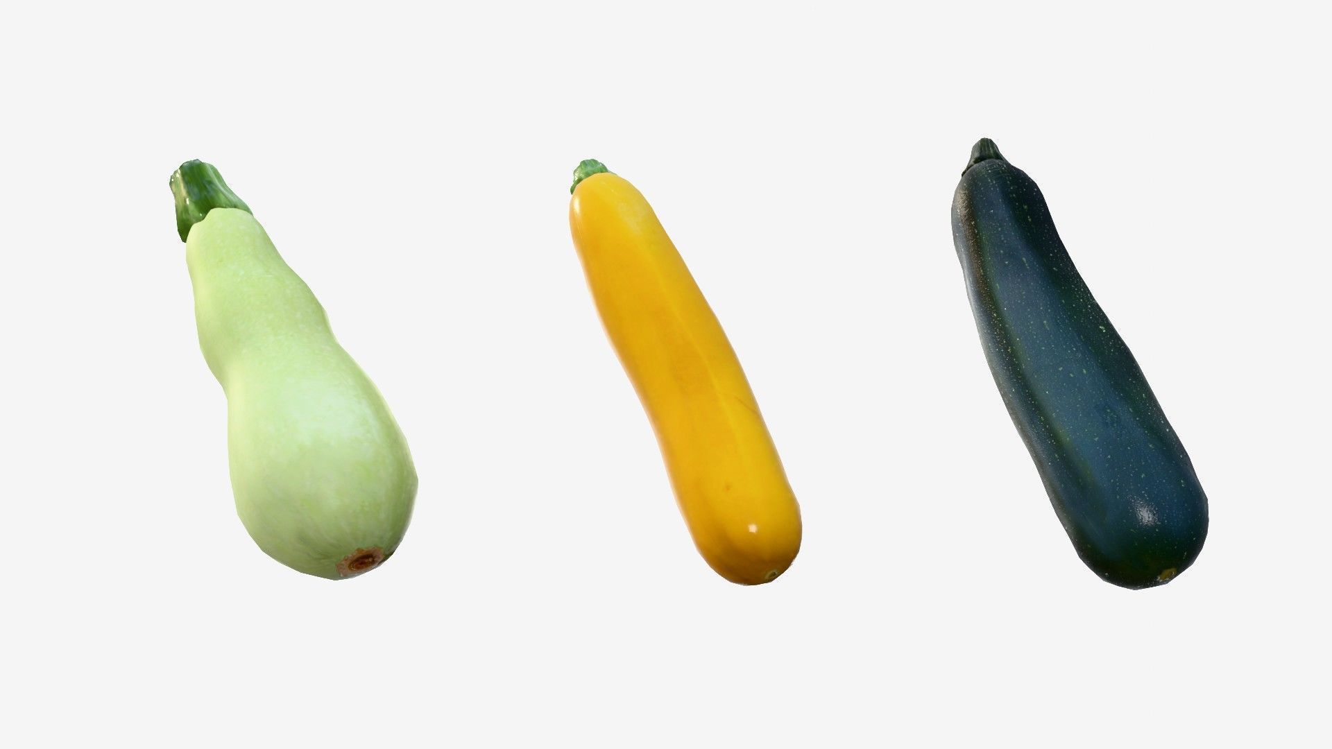 Squash Long Low-poly 3D model_11