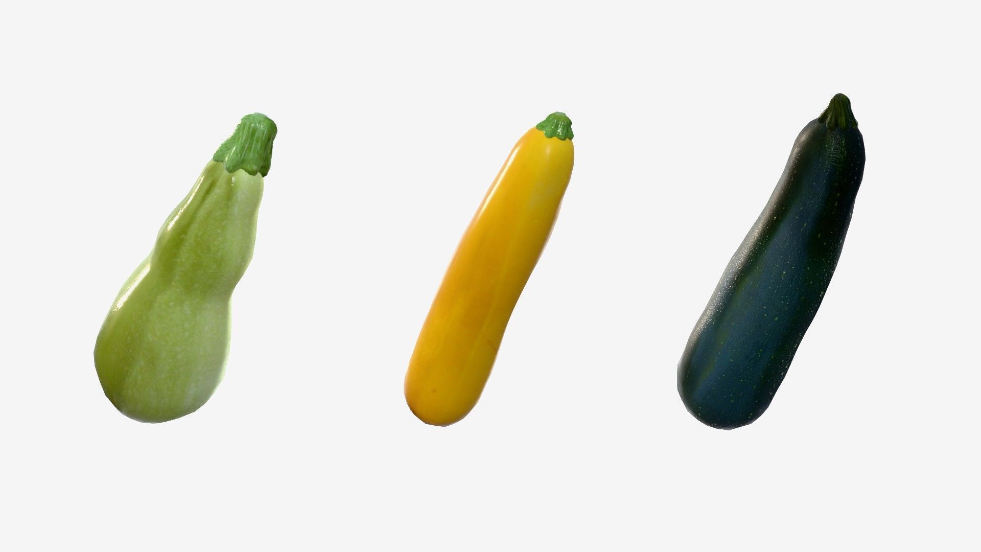 Squash Long Low-poly 3D model_20