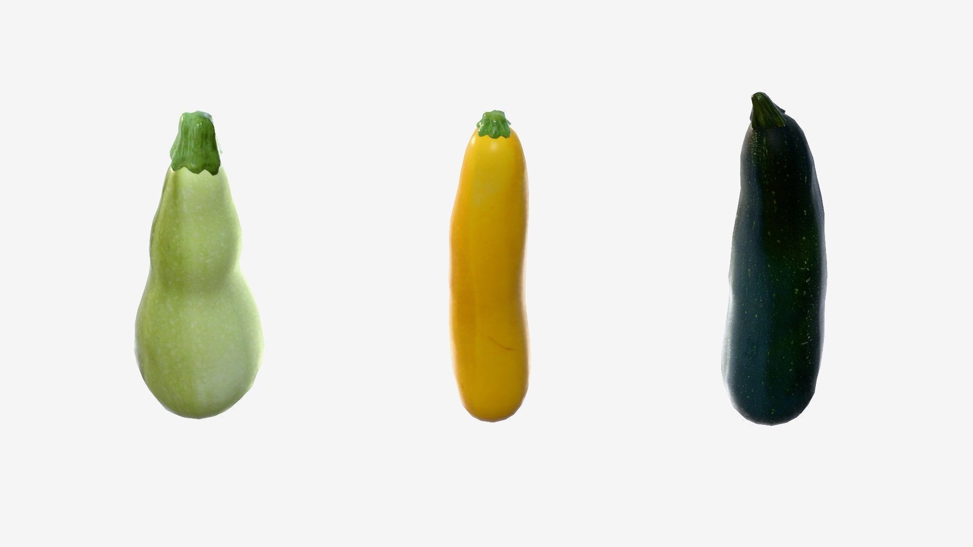 Squash Long Low-poly 3D model_3