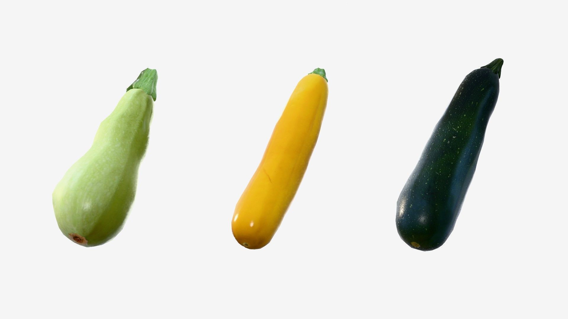 Squash Long Low-poly 3D model_14