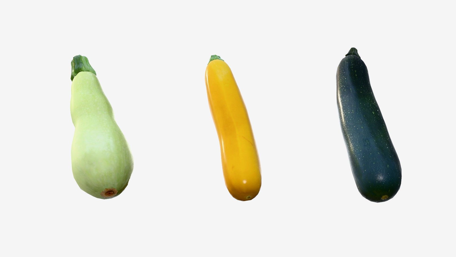 Squash Long Low-poly 3D model_13