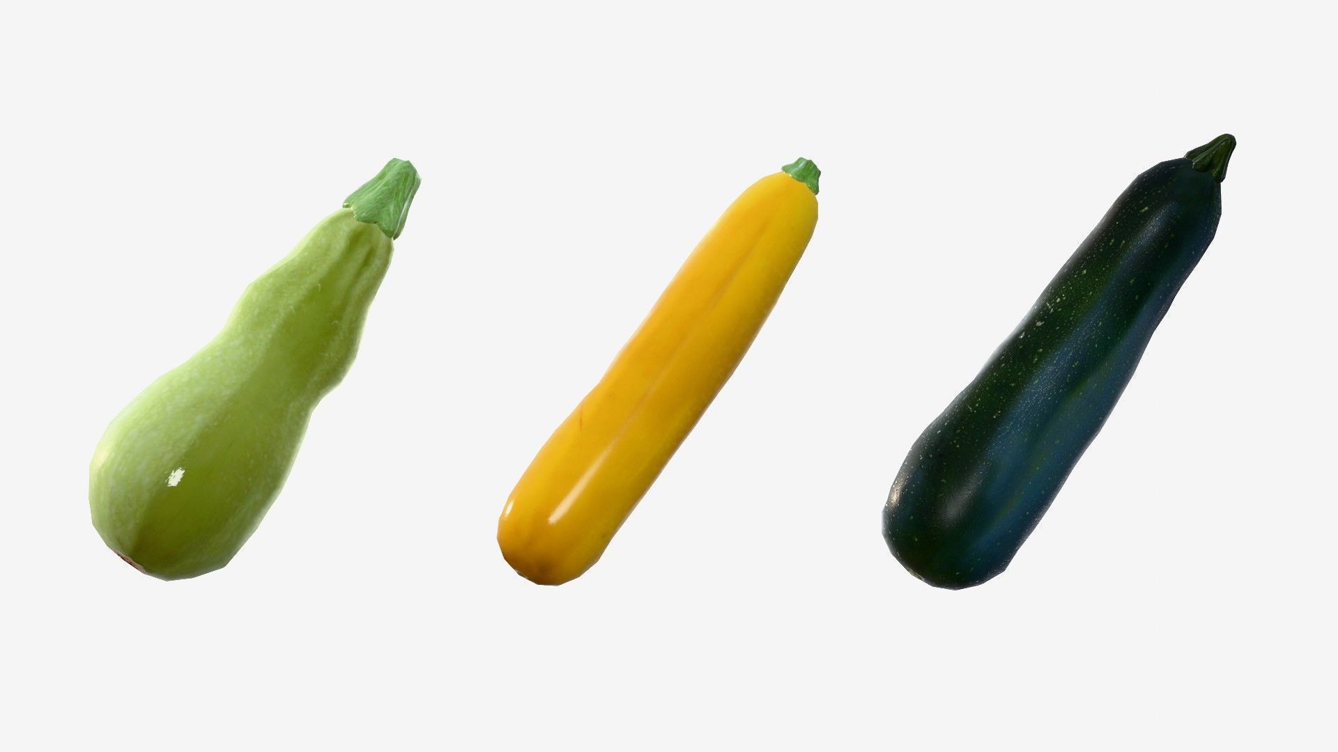 Squash Long Low-poly 3D model_16