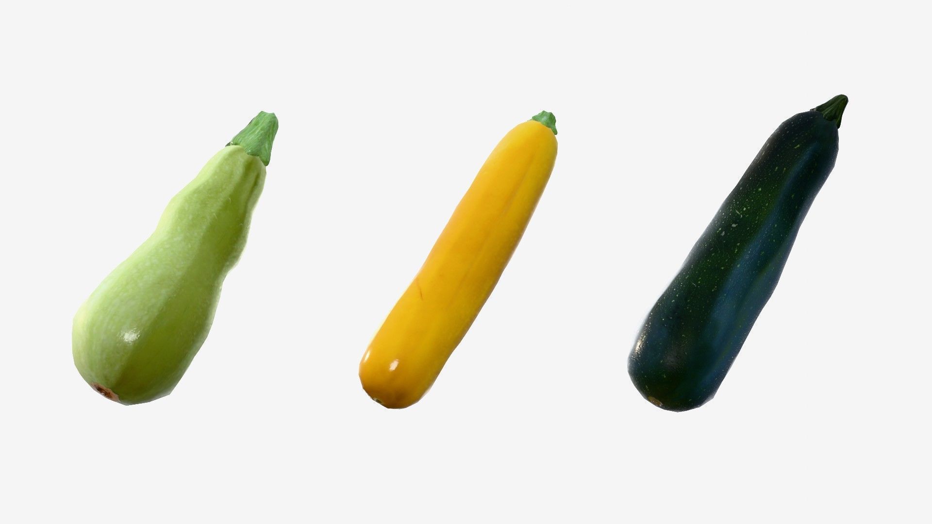 Squash Long Low-poly 3D model_15