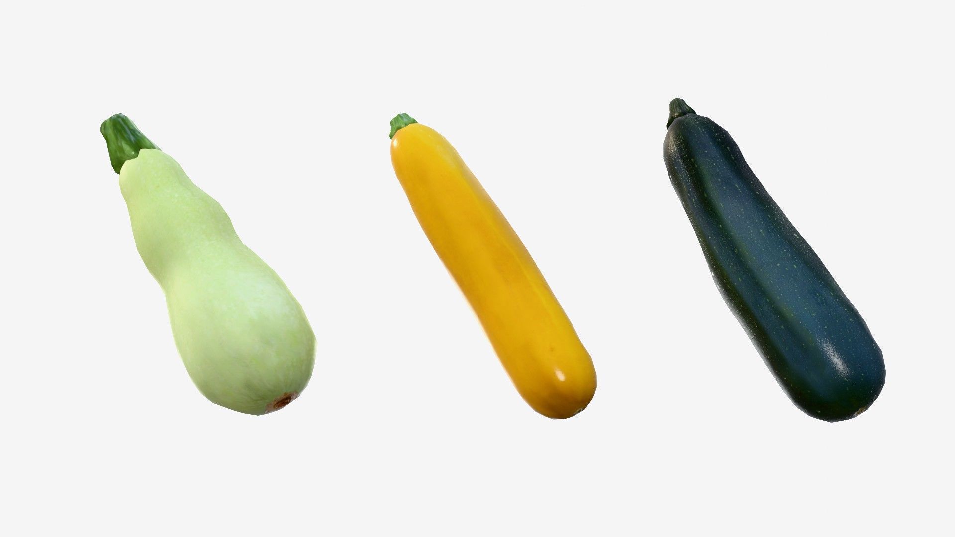 Squash Long Low-poly 3D model_10