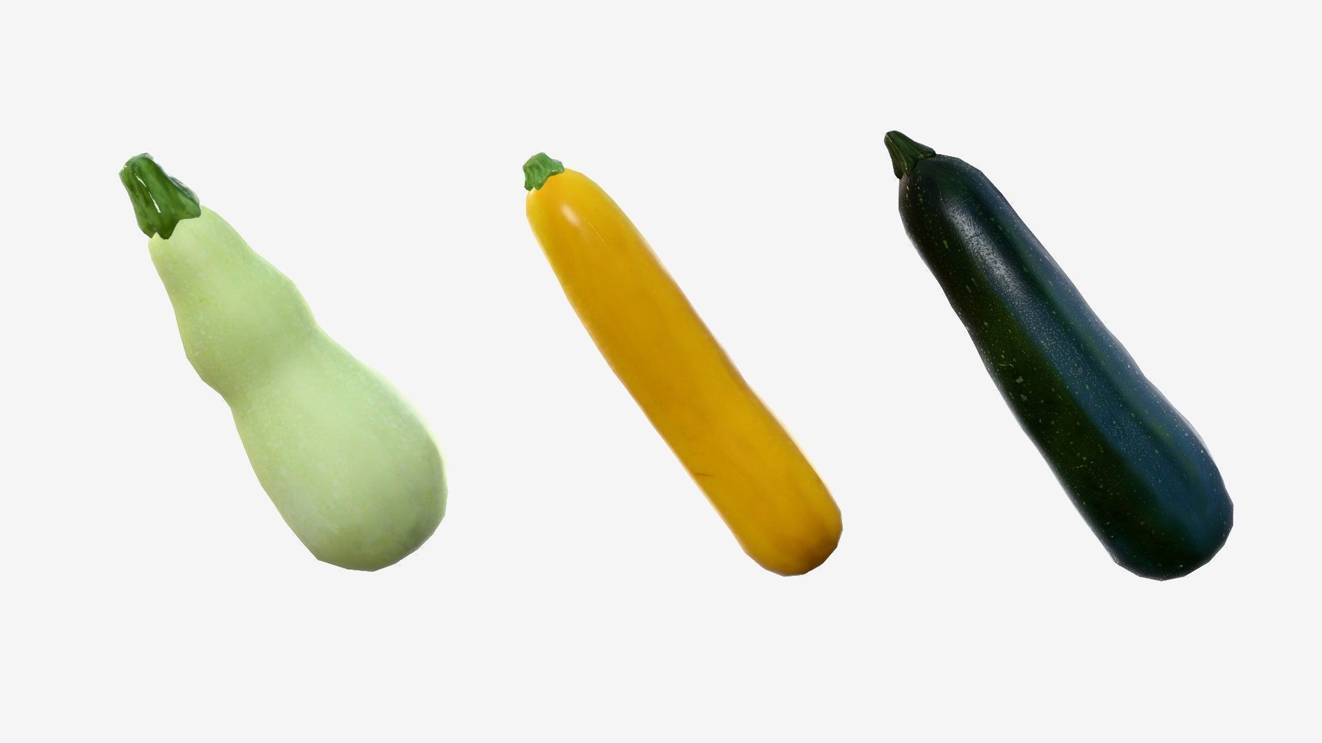 Squash Long Low-poly 3D model_7