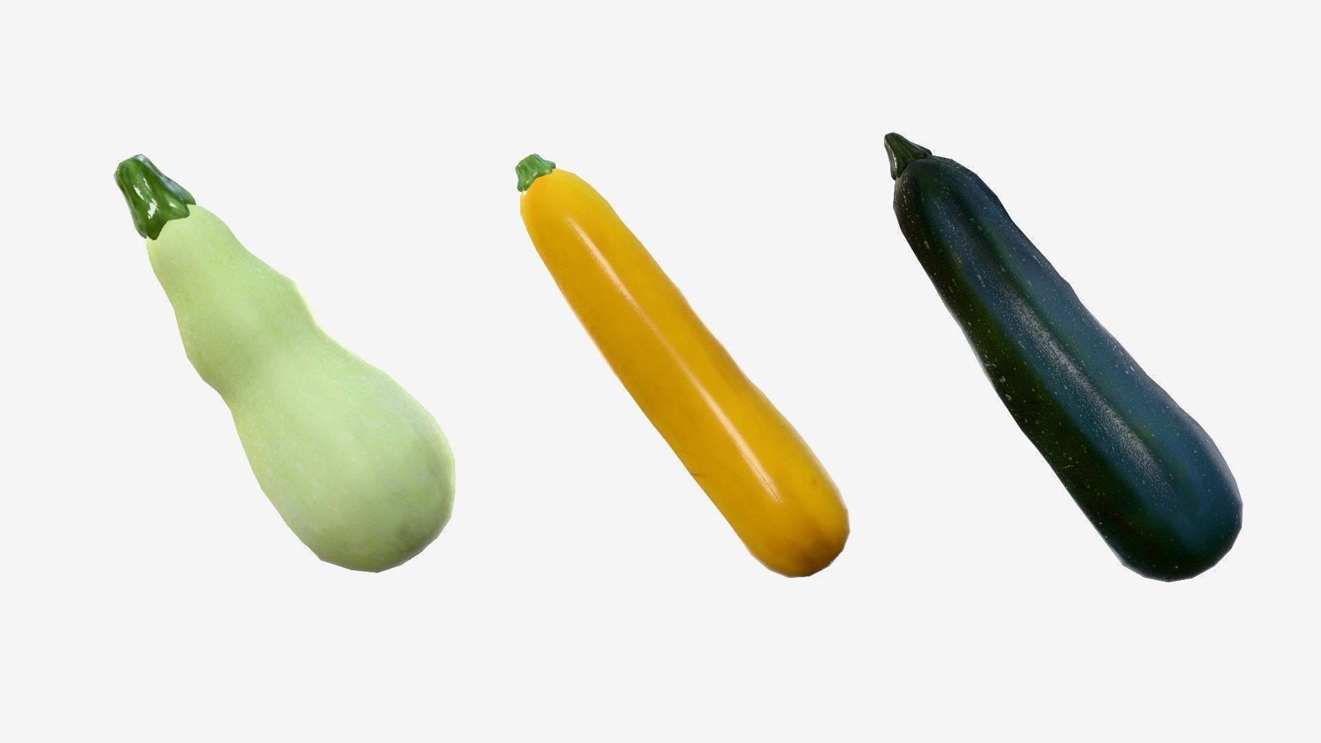 Squash Long Low-poly 3D model_8