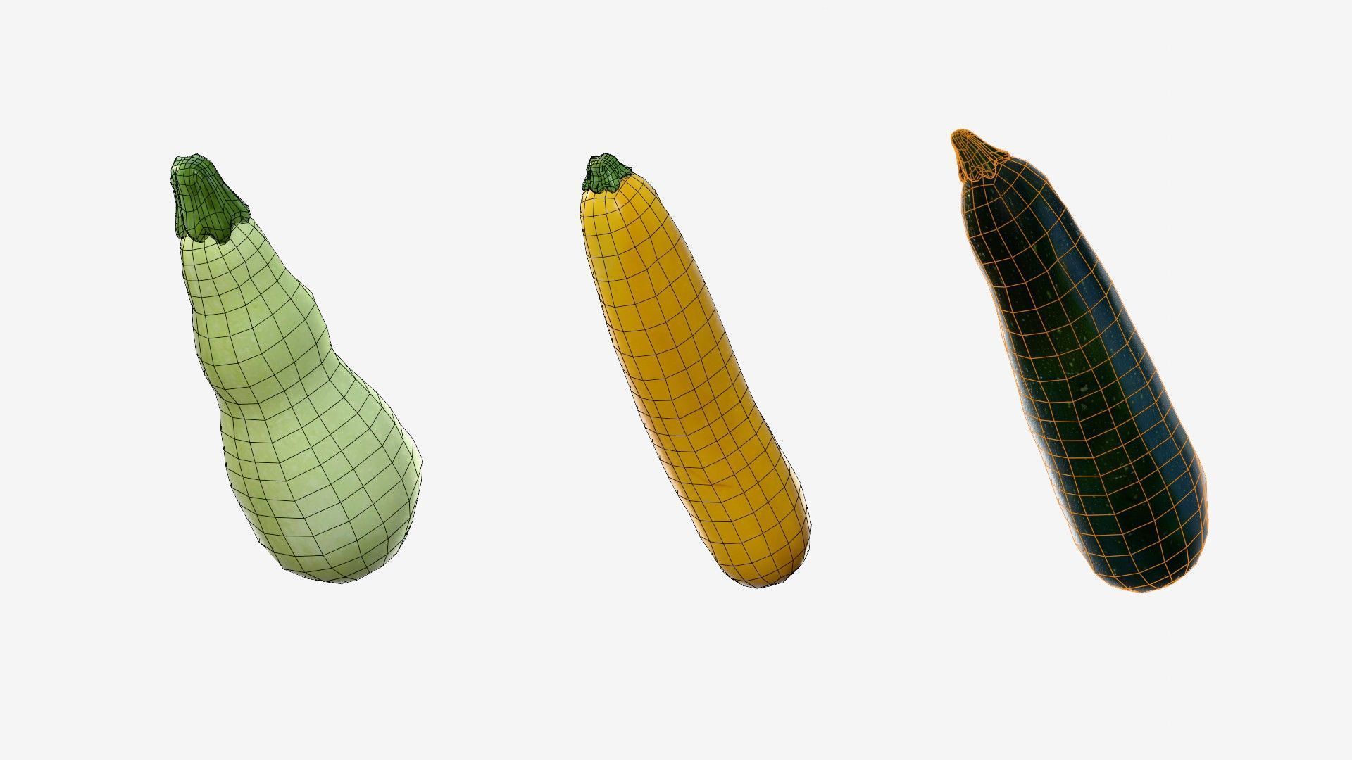 Squash Long Low-poly 3D model_25