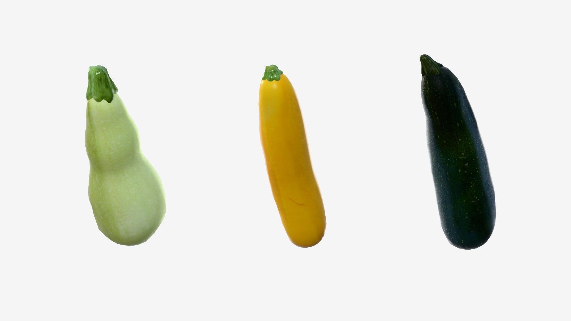 Squash Long Low-poly 3D model_4