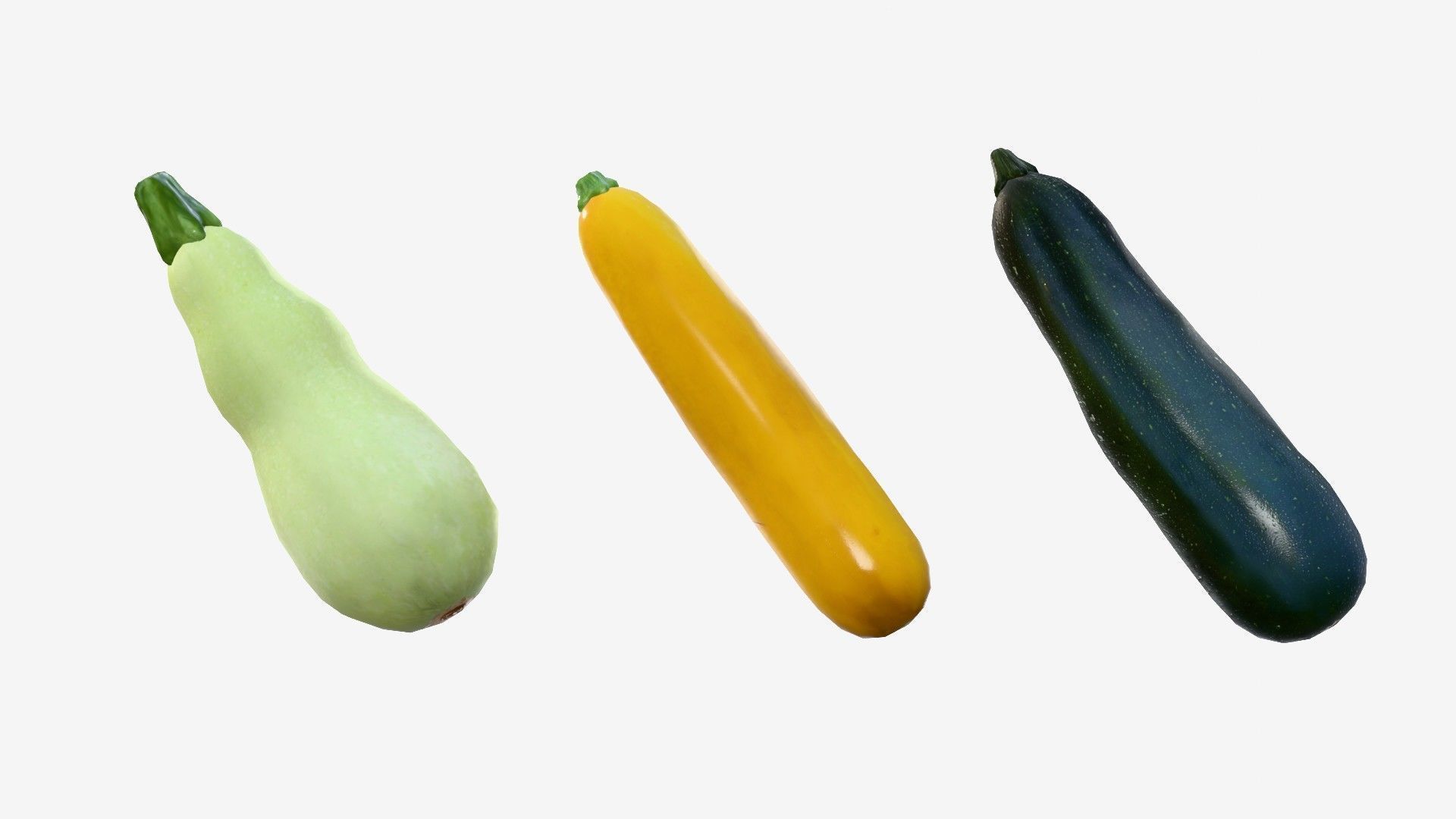 Squash Long Low-poly 3D model_9