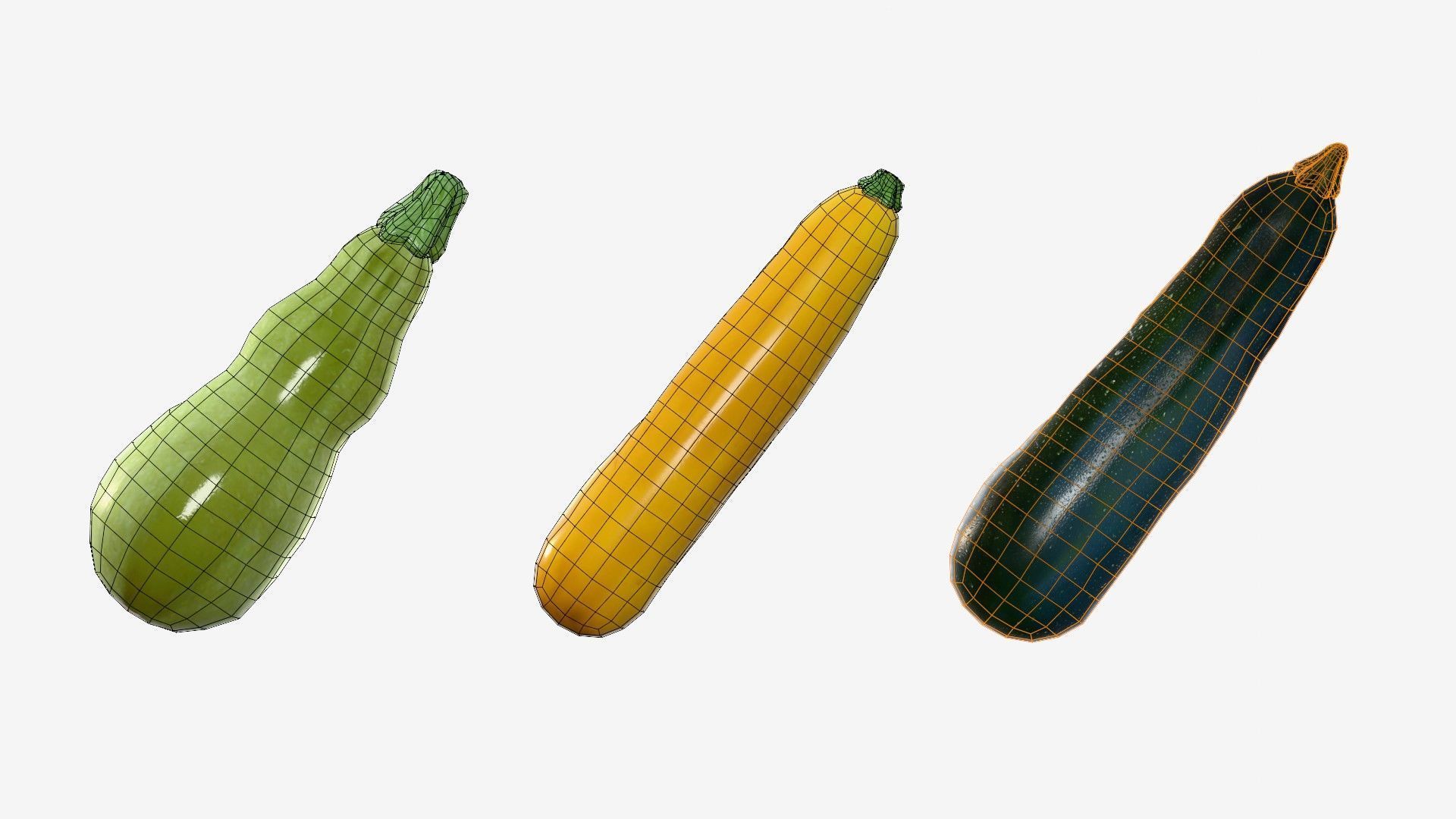 Squash Long Low-poly 3D model_37