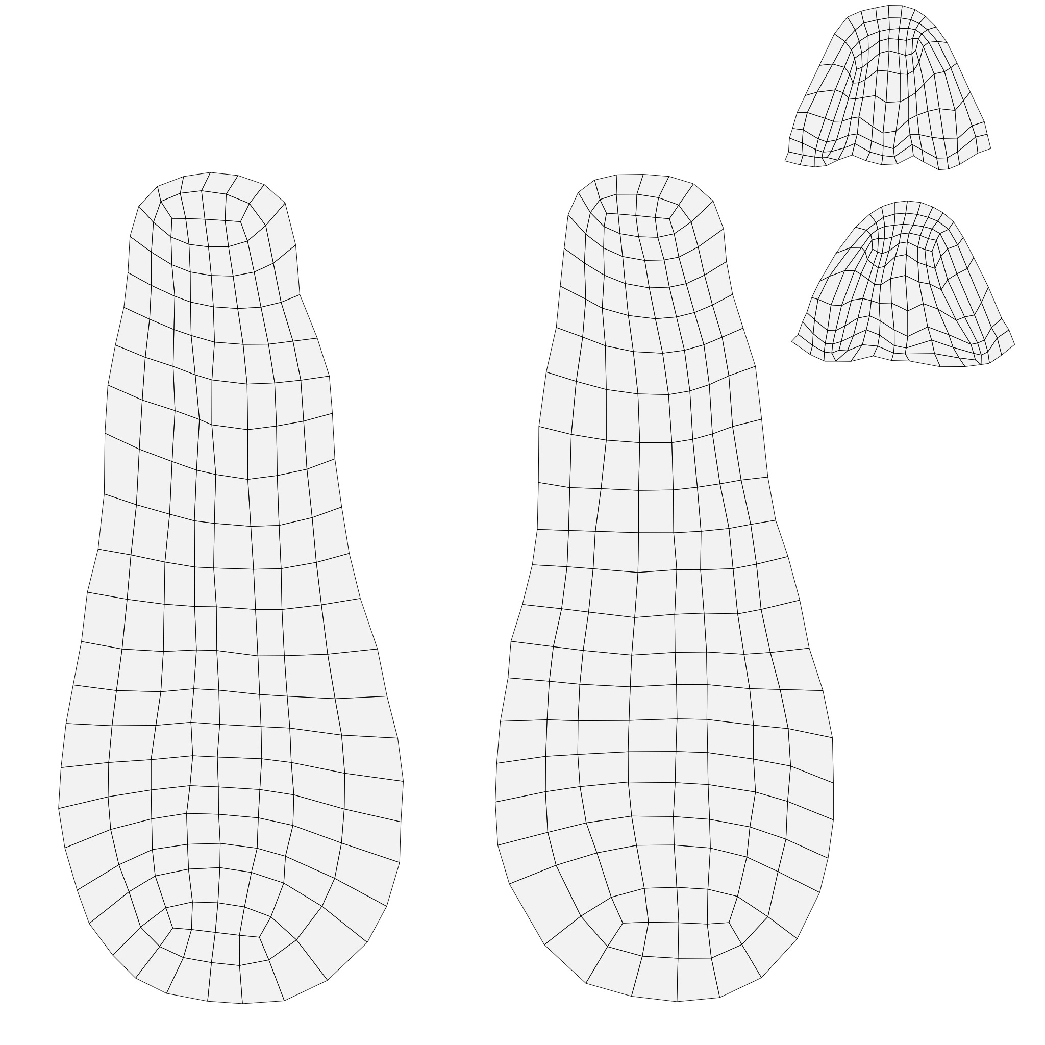 Squash Long Low-poly 3D model_41