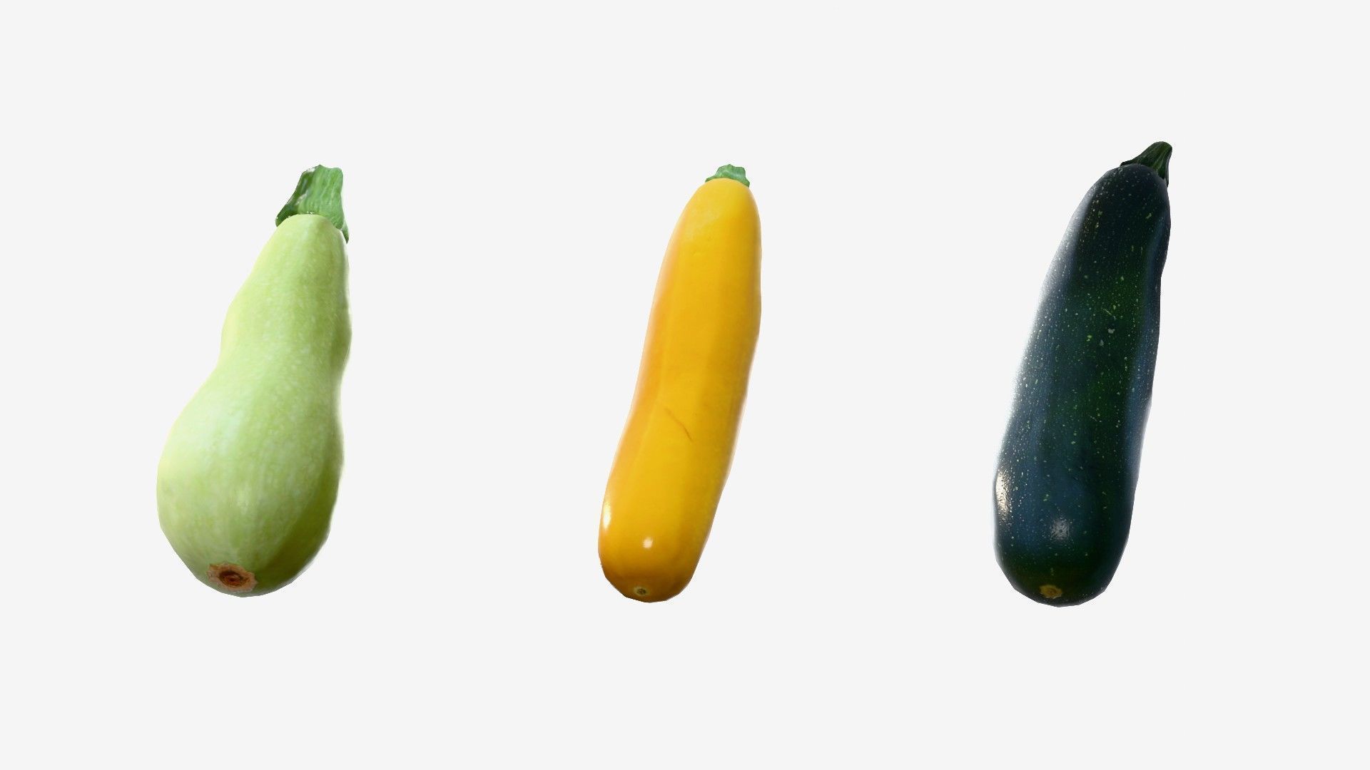 Squash Long Low-poly 3D model_12