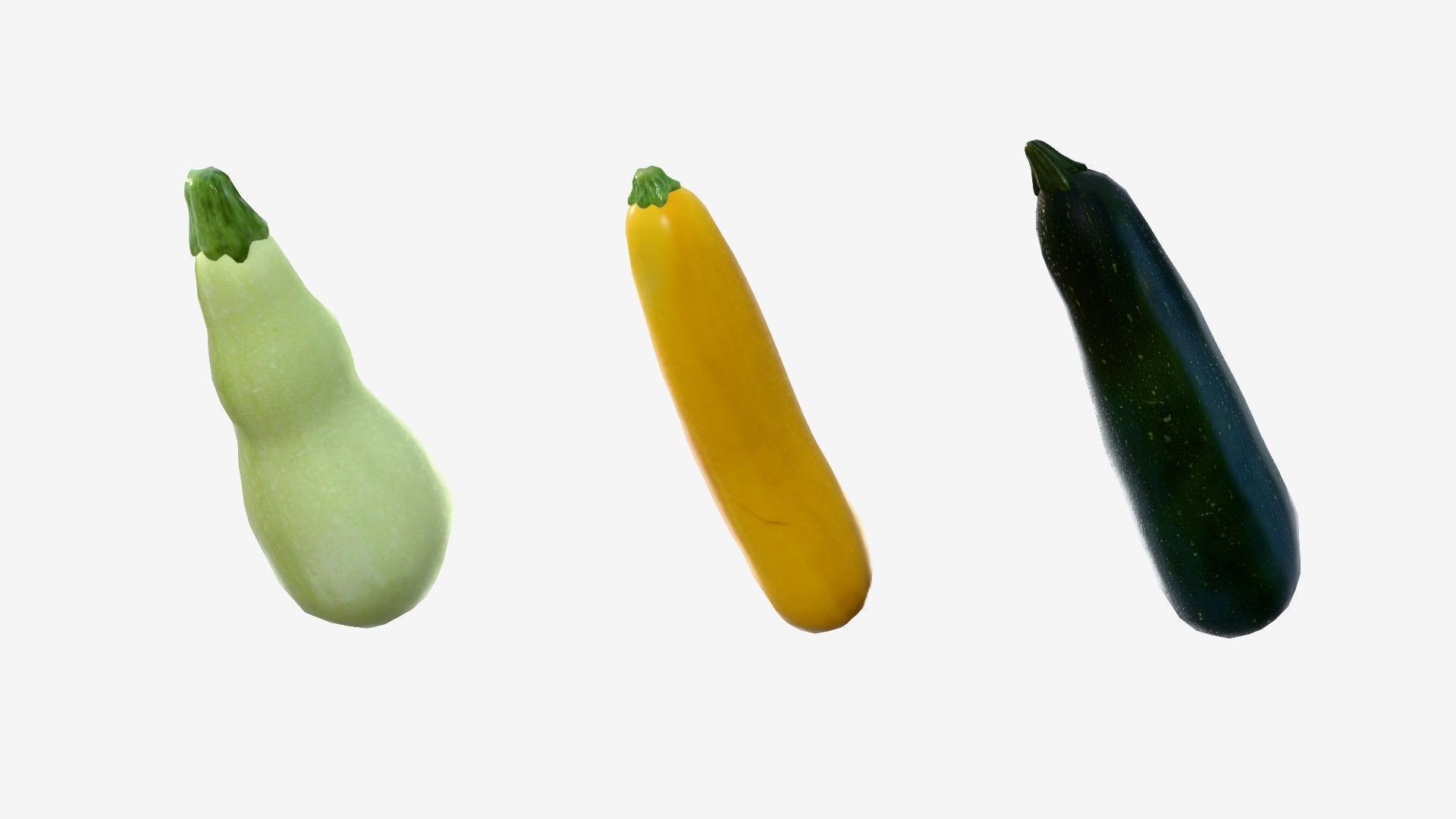 Squash Long Low-poly 3D model_5