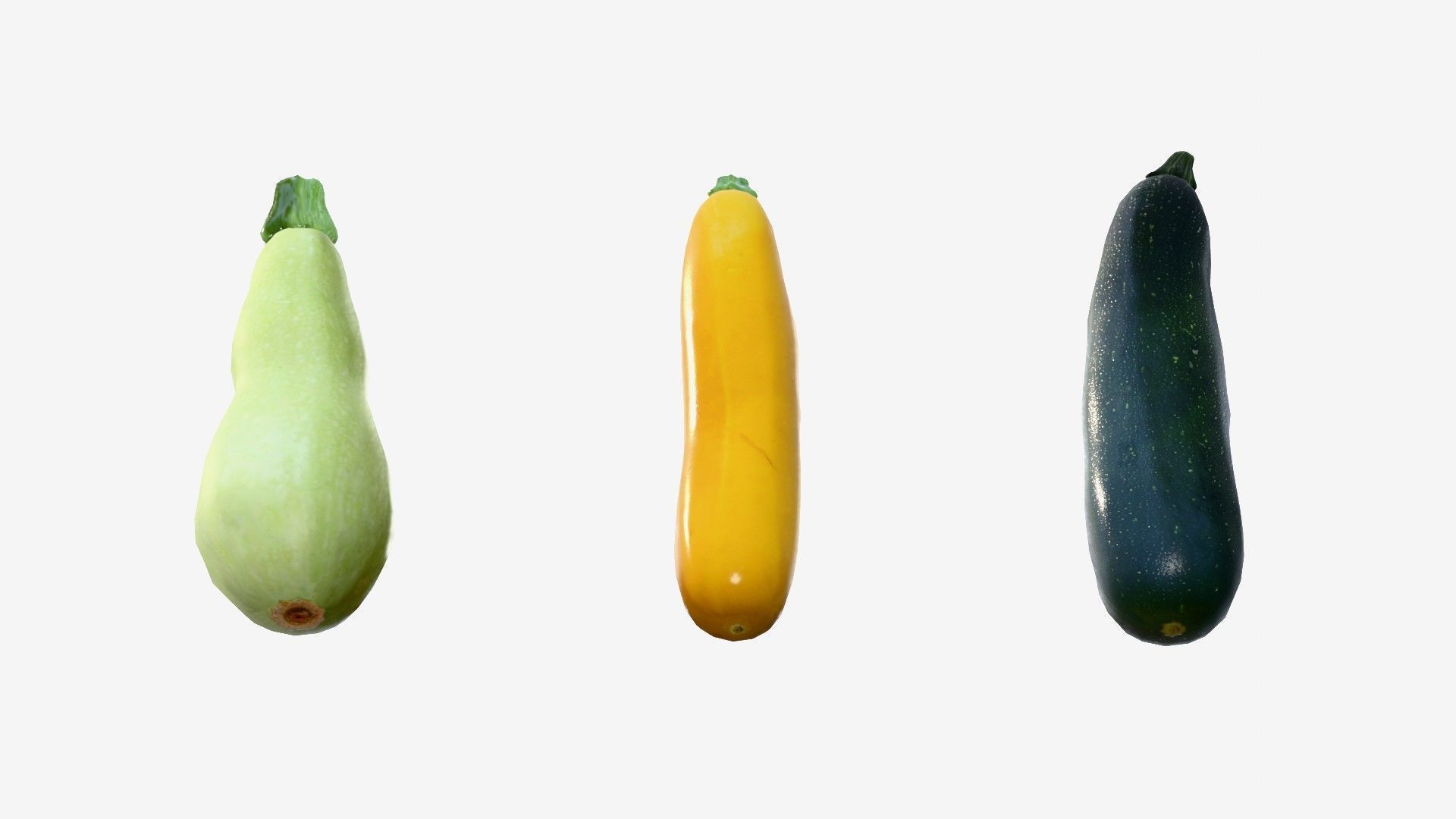 Squash Long Low-poly 3D model_1